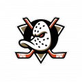 Anaheim Ducks