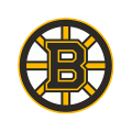 Boston Bruins