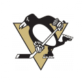 Pittsburgh Penguins