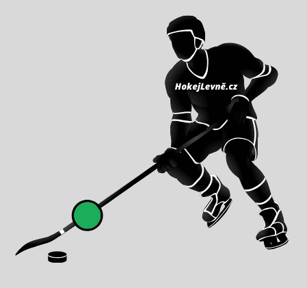 Hůl Bauer Vapor X5 Pro SR