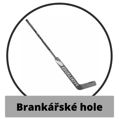 Poradna brankářské hokejky